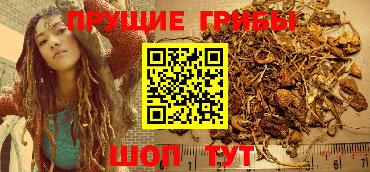 наркота  Вход с VPN  Галлюциногенные грибы Psilocybine cubensis  Каспийск  Псилоцибиновые грибы Psilocybine cubensis 